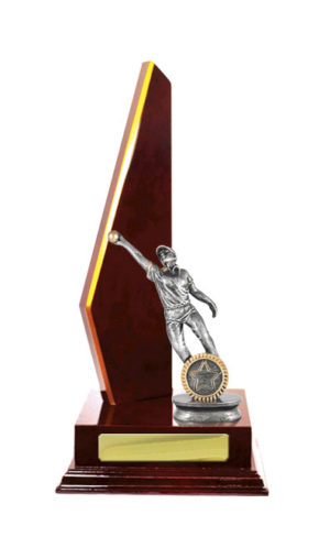 S24-13021CH : Timber Buildup Cricket