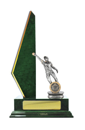 S24-13021GN : Timber Buildup Cricket