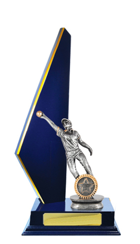 S24-13021RB : Timber Buildup Cricket