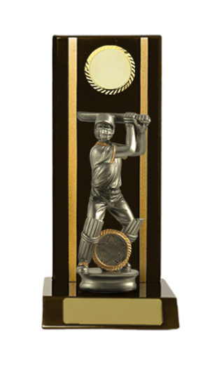 S24-13101DK : Timber Buildup Cricket Male