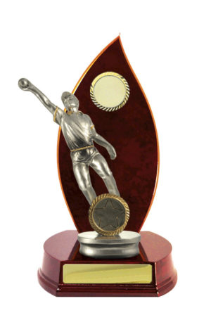 S24-13108CH : Timber Buildup Cricket Male