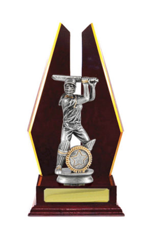 S24-13111CH : Timber Buildup Cricket Female