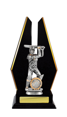 S24-13111DK : Timber Buildup Cricket Female