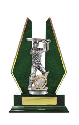 S24-13111GN : Timber Buildup Cricket Female