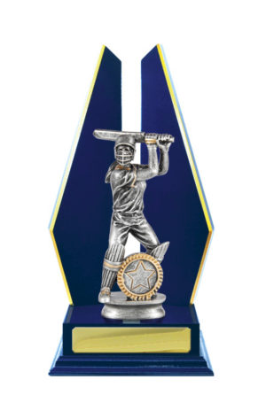 S24-13111RB : Timber Buildup Cricket Female