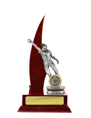 S24-13121CH : Timber Buildup Cricket Female