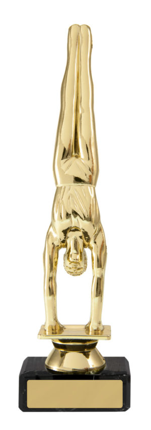 S24-14114 : Gym Male on Base