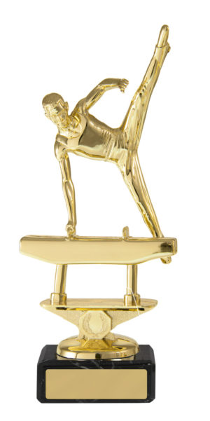 S24-14117 : Gym Male on Base