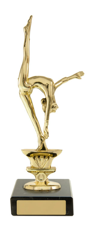 S24-14201 : Gymnast on Base