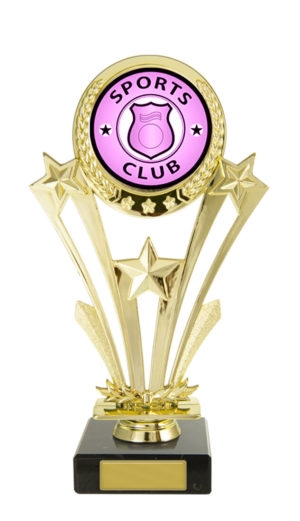 S24-14212 : Star on Base