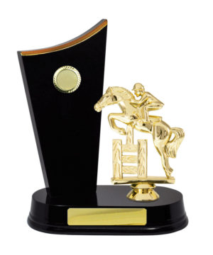 F24-3205DK : Timber Buildup Football Male