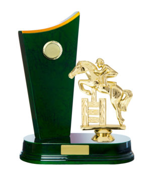 F24-3205GN : Timber Buildup Football Male