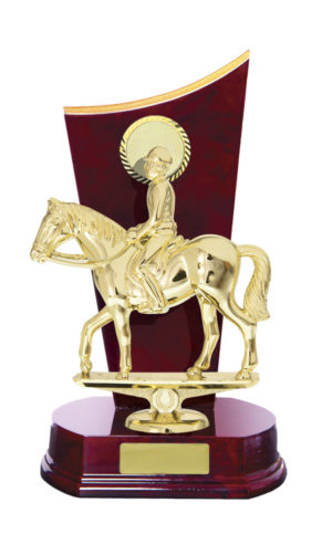 F24-3212RB : Timber Buildup Football Male