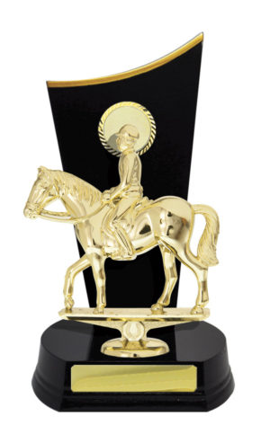 F24-3212RB : Timber Buildup Football Male