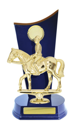 F24-3212RB : Timber Buildup Football Male