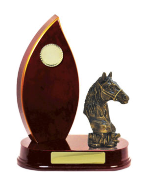 F24-3205CH : Timber Buildup Football Male