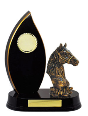 F24-3205CH : Timber Buildup Football Male