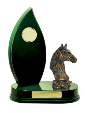 F24-3205CH : Timber Buildup Football Male