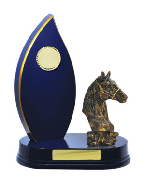 F24-3205CH : Timber Buildup Football Male