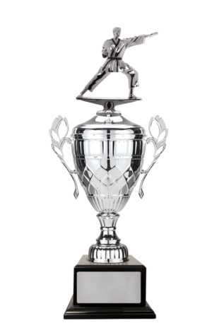 S24-15501 : Whopper Cup-Martial Arts