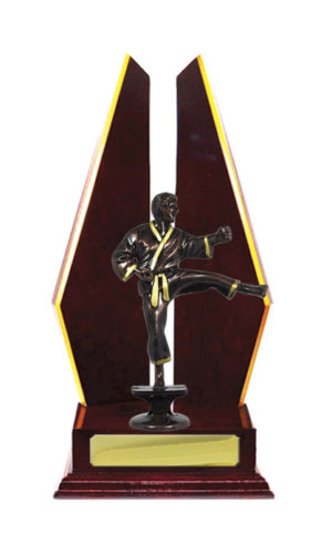 S24-15505CH : Timber Buildup Martial Arts