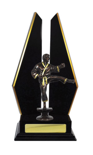 S24-15505DK : Timber Buildup Martial Arts