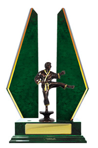 S24-15505GN : Timber Buildup Martial Arts