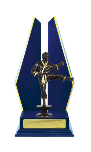 S24-15505RB : Timber Buildup Martial Arts