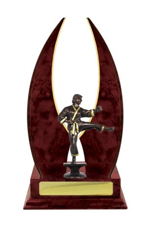 S24-15510CH : Timber Buildup Martial Arts