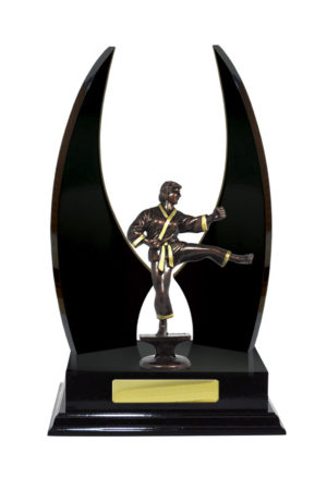 S24-15510DK : Timber Buildup Martial Arts