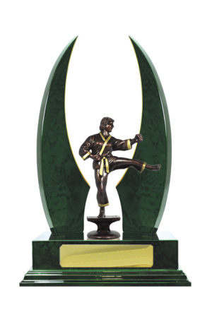 S24-15510GN : Timber Buildup Martial Arts