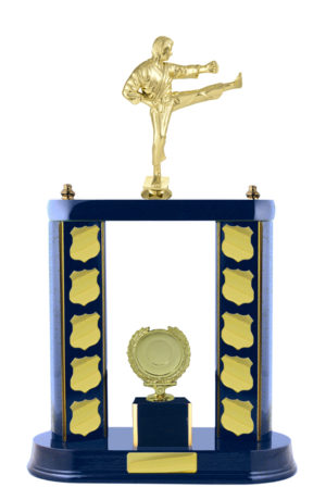 S24-15519RB : Timber Buildup Martial Arts