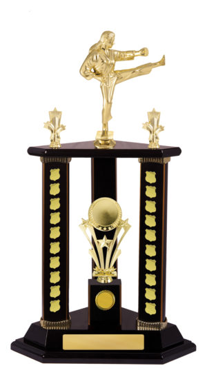 S24-15522DK : Timber Buildup Martial Arts