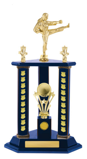 S24-15522RB : Timber Buildup Martial Arts