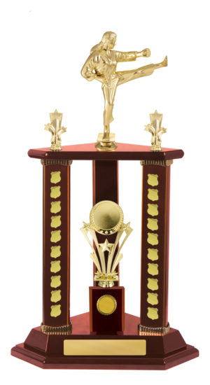 S24-15522WG : Timber Buildup Martial Arts