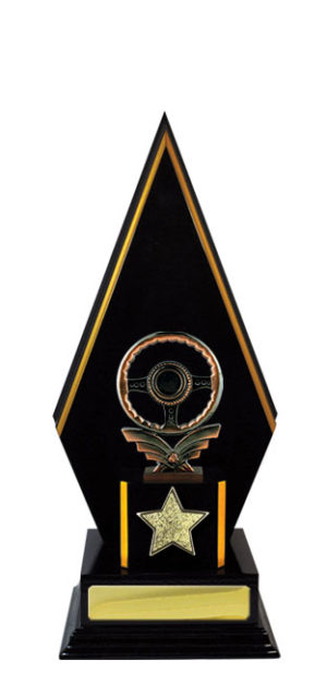 S24-16207 : Timber Buildup Steering Wheel