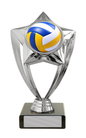 S24-20309 : Plastic Volleyball Theme on Base