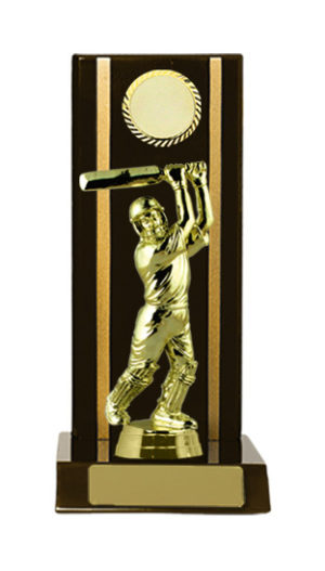 S24-7211DK : Timber Buildup Cricket