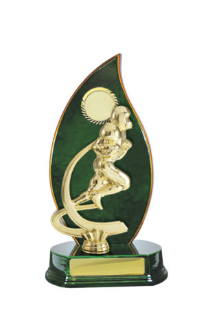 S24-7301GN : Timber Buildup Grid Iron