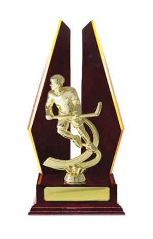 S24-7304CH : Timber Buildup Ice Hockey