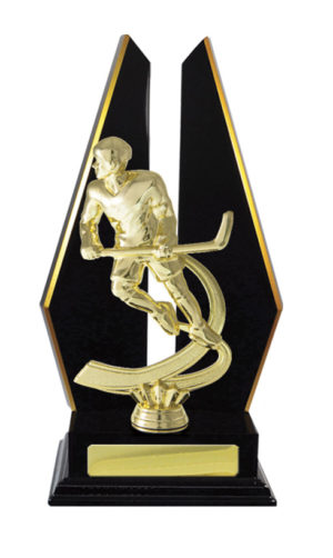 S24-7304DK : Timber Buildup Ice Hockey