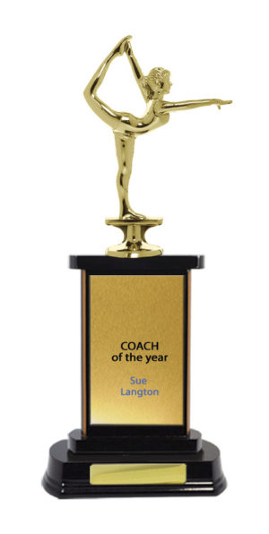 S24-7309DK : Timber Buildup Gymnastics