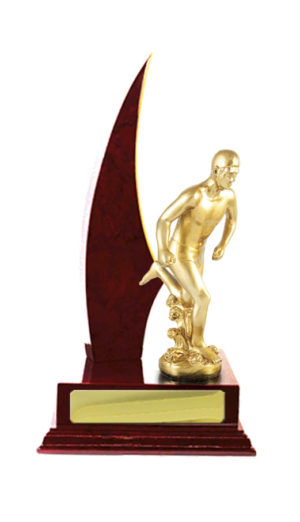 S24-7314CH : Timber Buildup Lifesaving