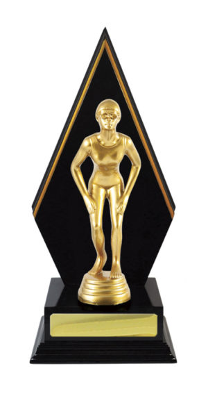 S24-7401 : Timber Buildup Swimming