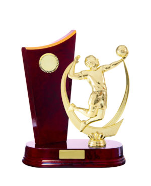 S24-7405CH : Timber Buildup Volleyball