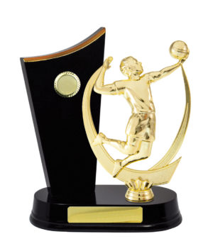 S24-7405DK : Timber Buildup Volleyball