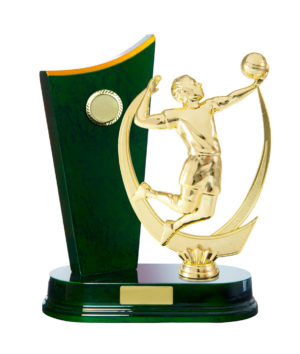 S24-7405GN : Timber Buildup Volleyball