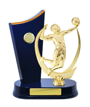 S24-7405RB : Timber Buildup Volleyball