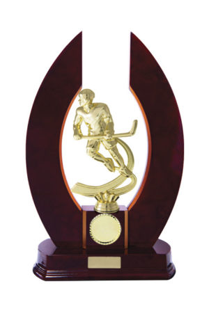 S24-7501CH : Timber Buildup Ice Hockey