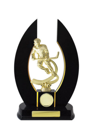 S24-7501DK : Timber Buildup Ice Hockey